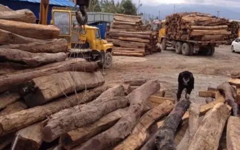 缅甸花梨凭什么，，，，价钱一起上涨....